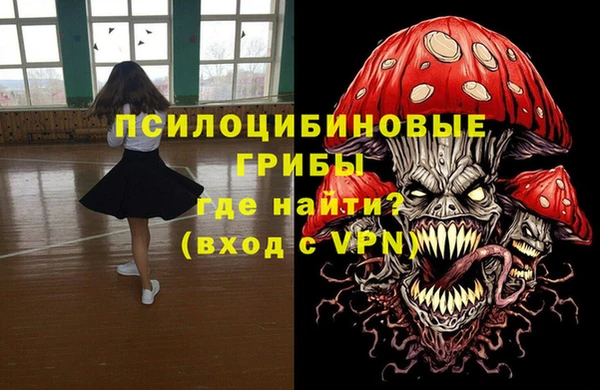 прущие грибы Липки