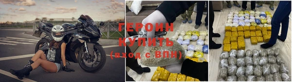 прущие грибы Липки
