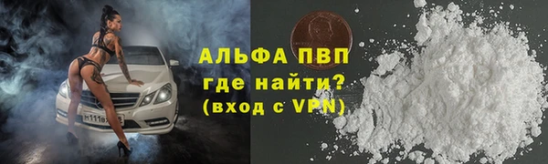 прущие грибы Липки