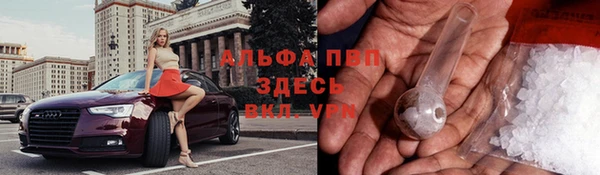 прущие грибы Липки