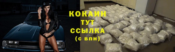 прущие грибы Липки