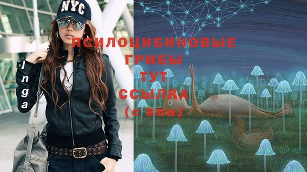 спайс Лихославль