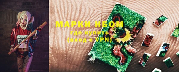 прущие грибы Липки