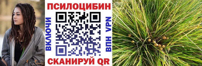 Галлюциногенные грибы мухоморы Новосокольники